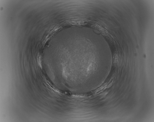 X0000075811202200609221300