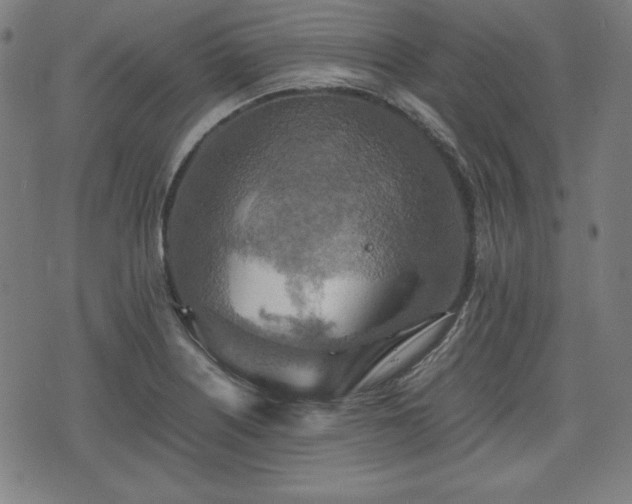 X0000075811226200609221300