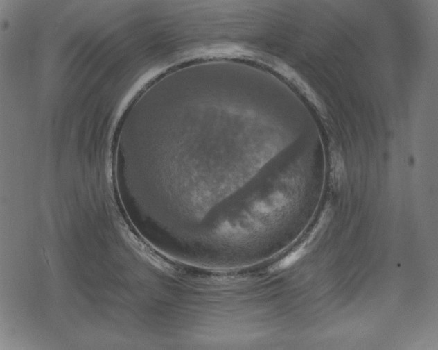 X0000075811232200609221300
