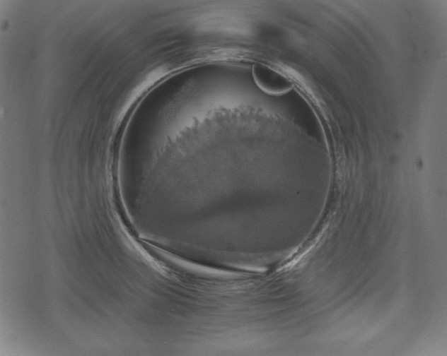 X0000075811235200609221300