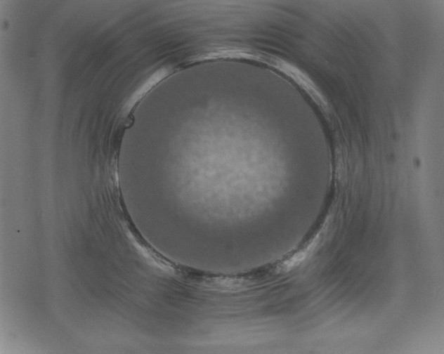 X0000075811241200609221300