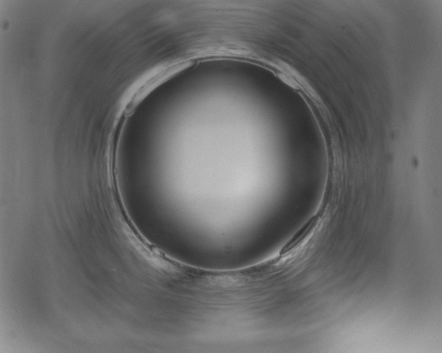 X0000075811246200609221300