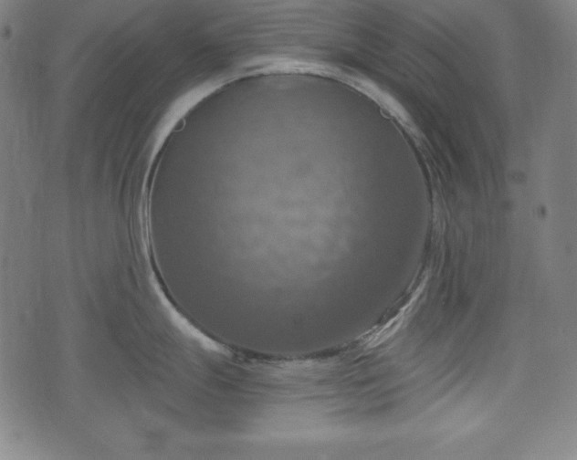 X0000075811247200609221300