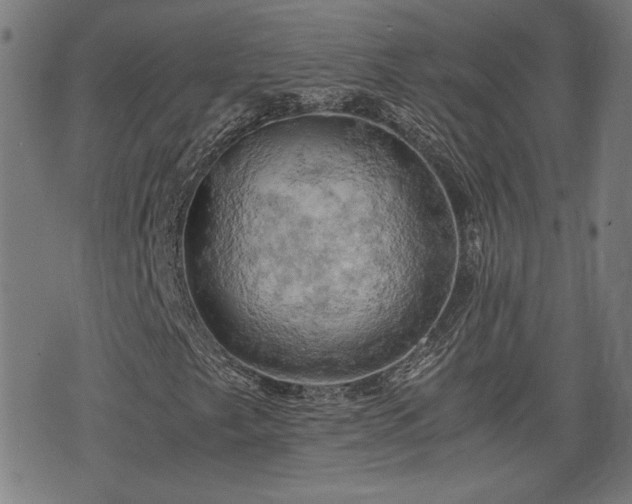 X0000075811249200609221259