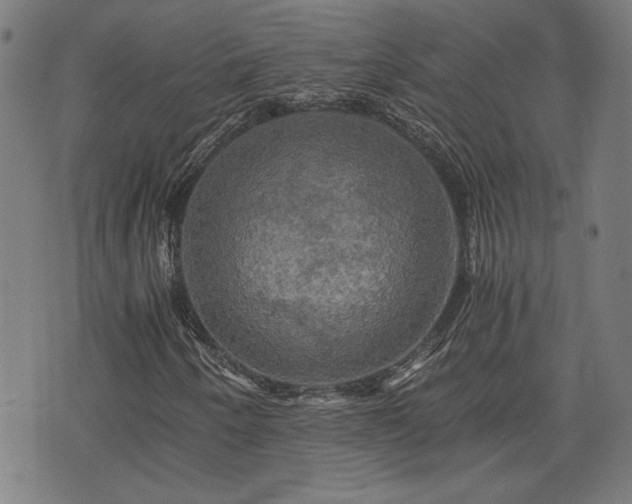 X0000075811250200609221259
