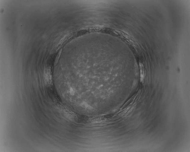 X0000075811252200609221259