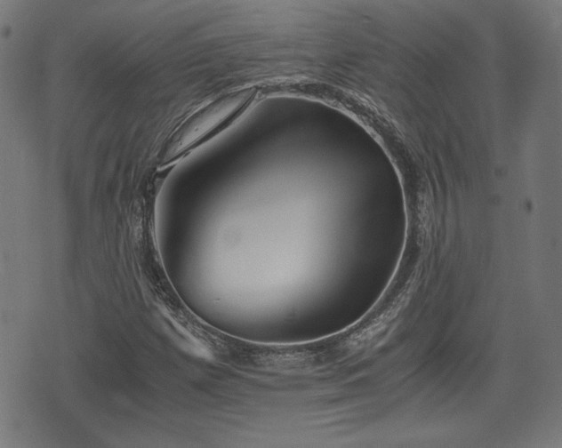 X0000075811257200609221259