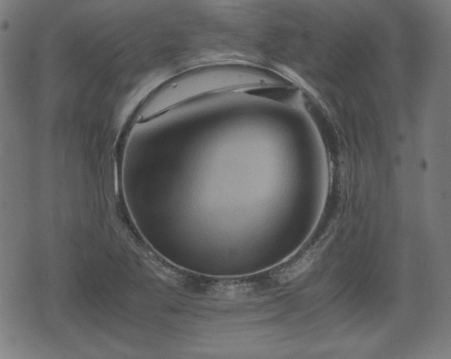 X0000075811269200609221259