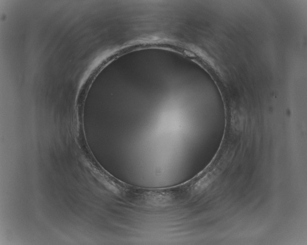X0000075811270200609221259