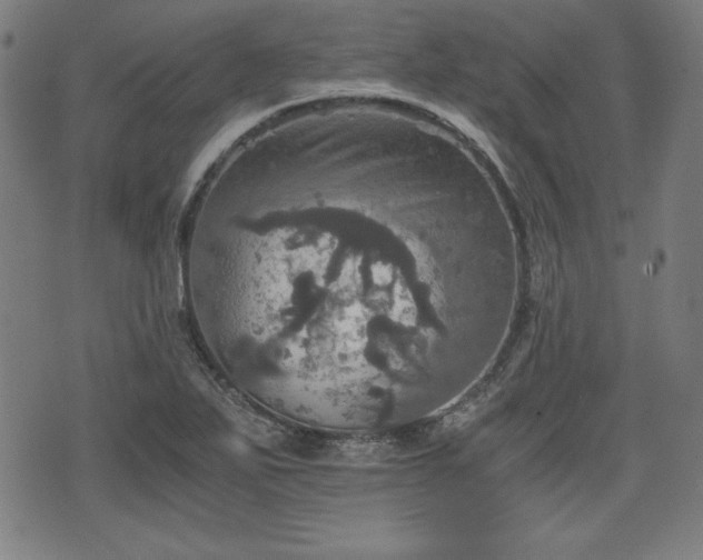 X0000075811271200609221259