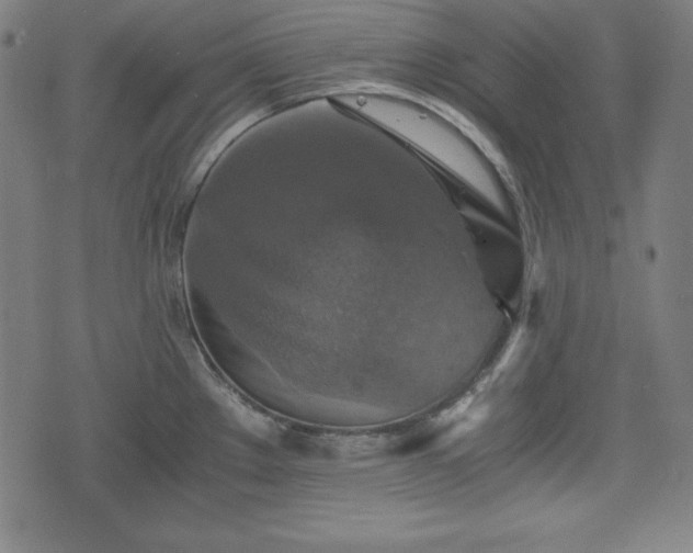 X0000075811289200609221259
