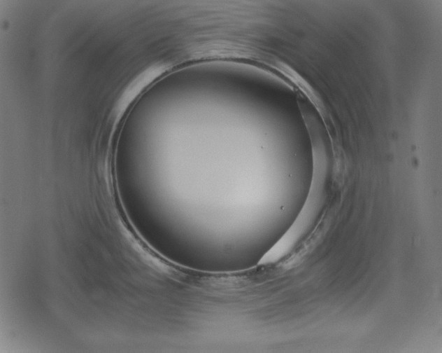 X0000075811293200609221259