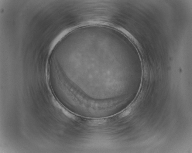X0000075811294200609221259
