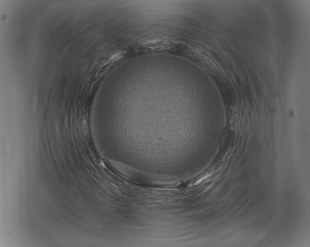 X0000075811298200609221258