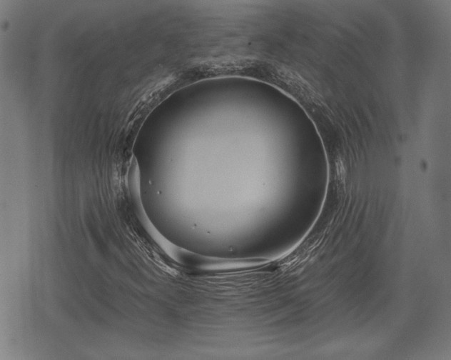 X0000075811300200609221258