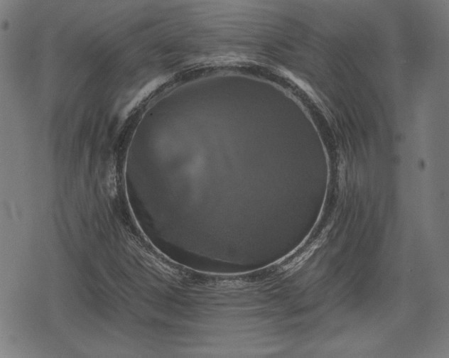 X0000075811306200609221258