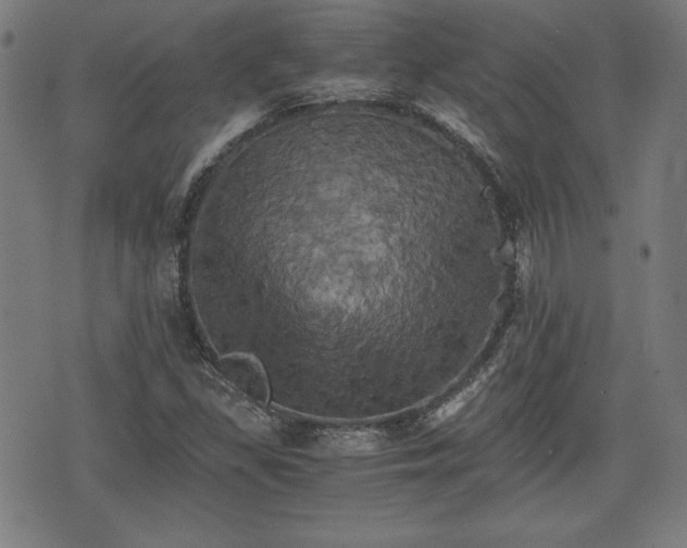 X0000075811309200609221258