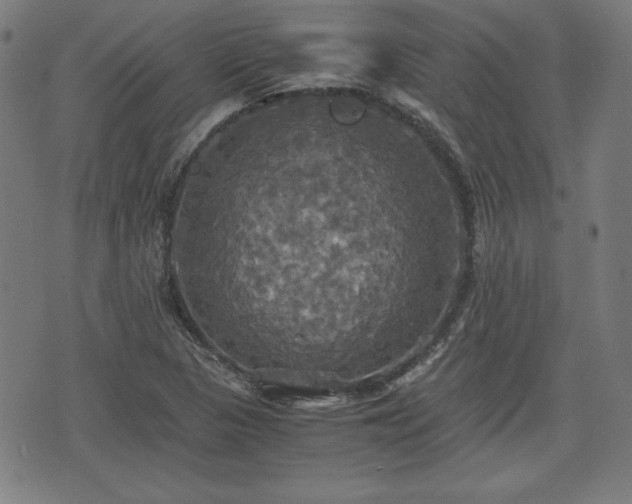 X0000075811313200609221258