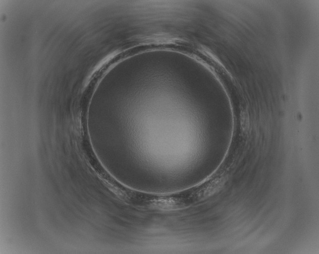 X0000075811315200609221258