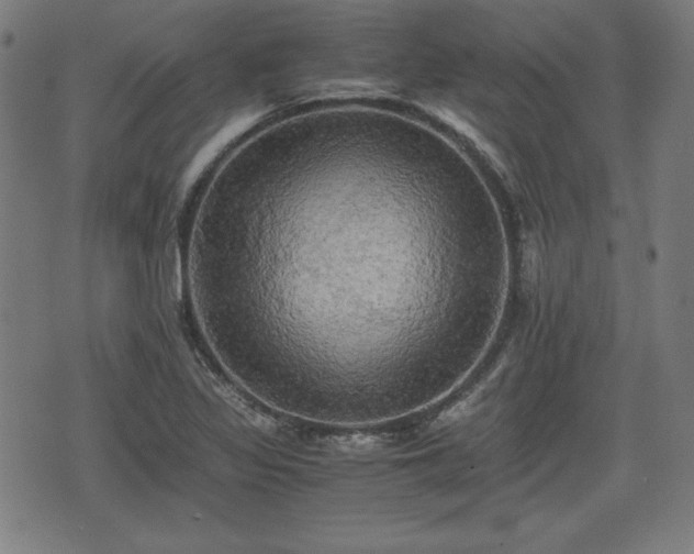 X0000075811317200609221258