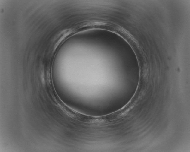 X0000075811321200609221258