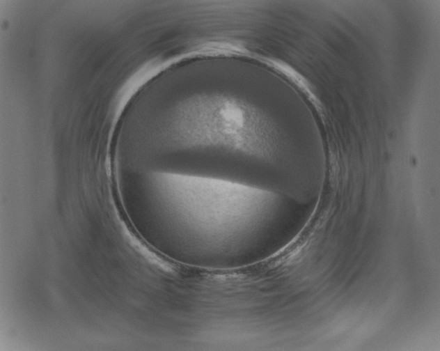 X0000075811335200609221259