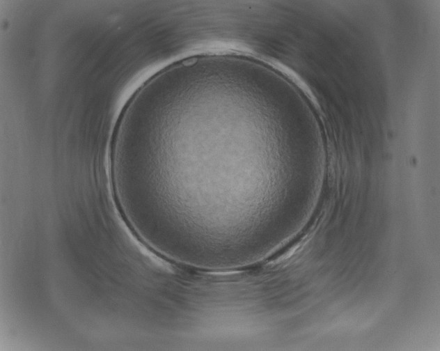 X0000075811343200609221259