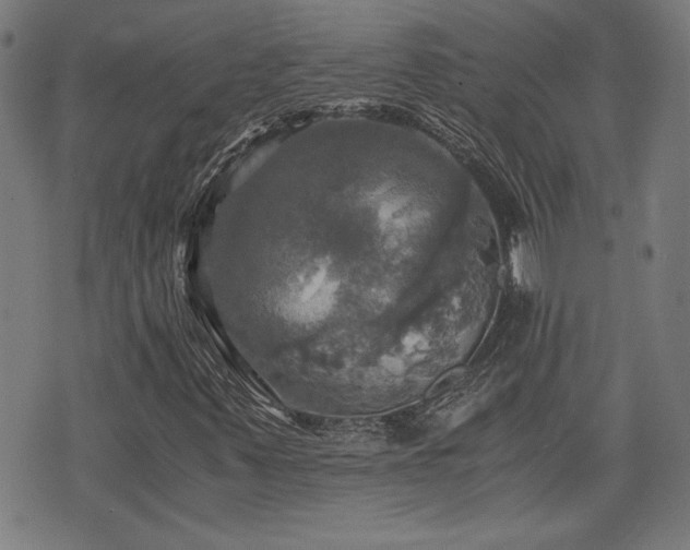 X0000075811347200609221258