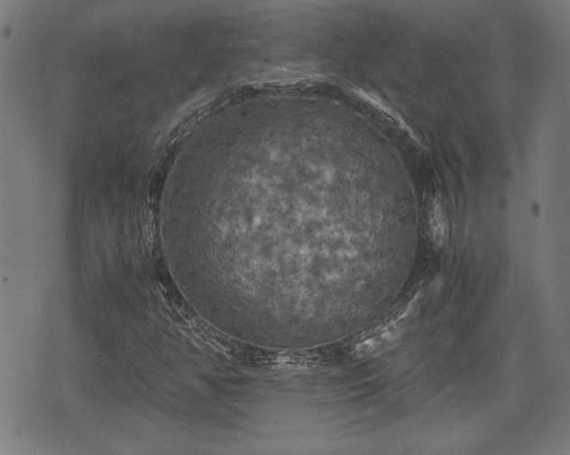 X0000075811350200609221258