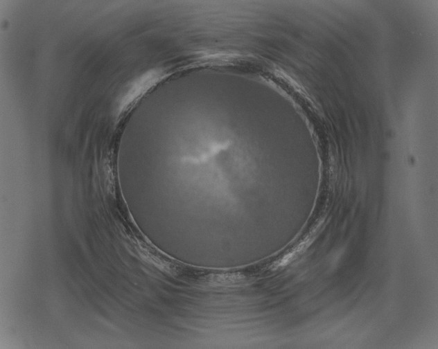 X0000075811354200609221258