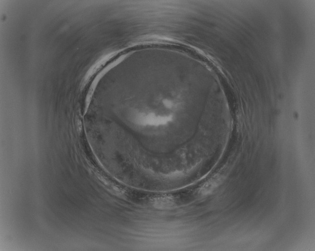 X0000075811363200609221258