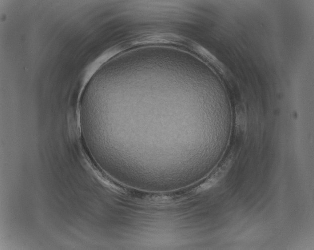 X0000075811370200609221258