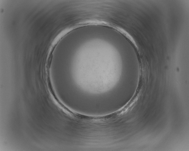 X0000075811381200609221257