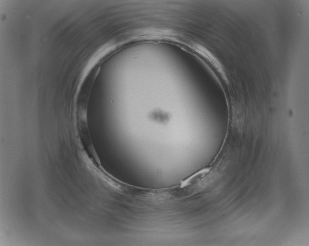X0000075811384200609221257