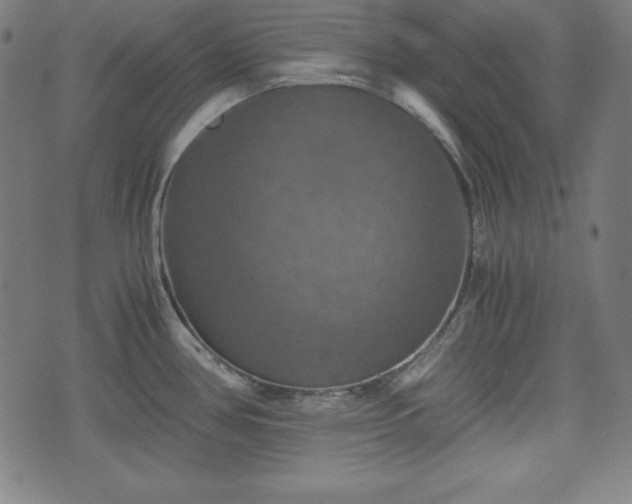 X0000075811386200609221257