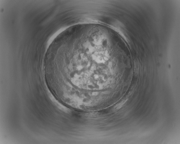 X0000075811387200609221257
