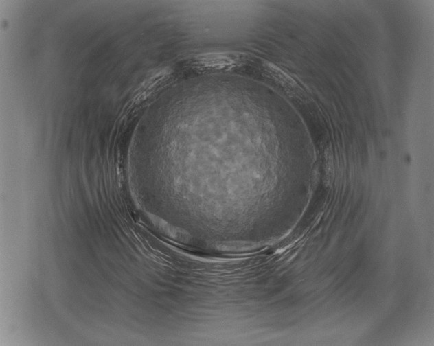 X0000075811394200609221256