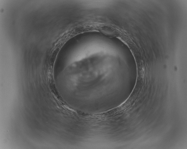 X0000075811397200609221256