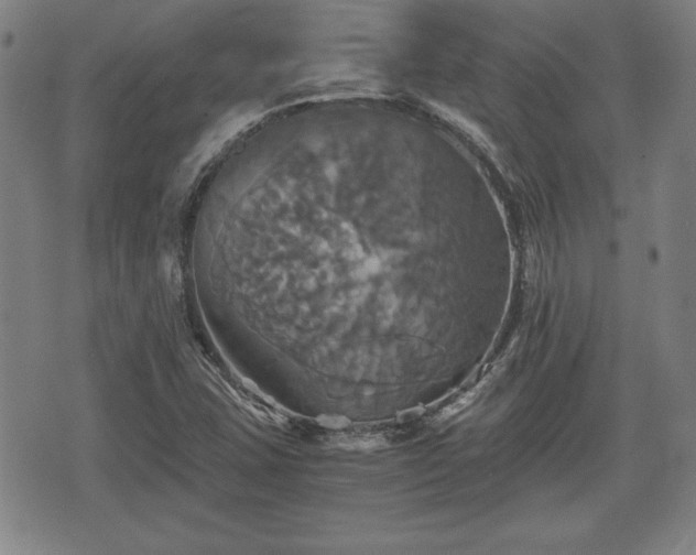 X0000075811407200609221257