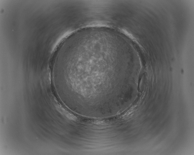 X0000075811408200609221257