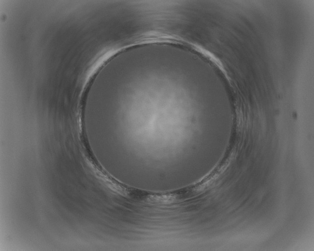 X0000075811415200609221257