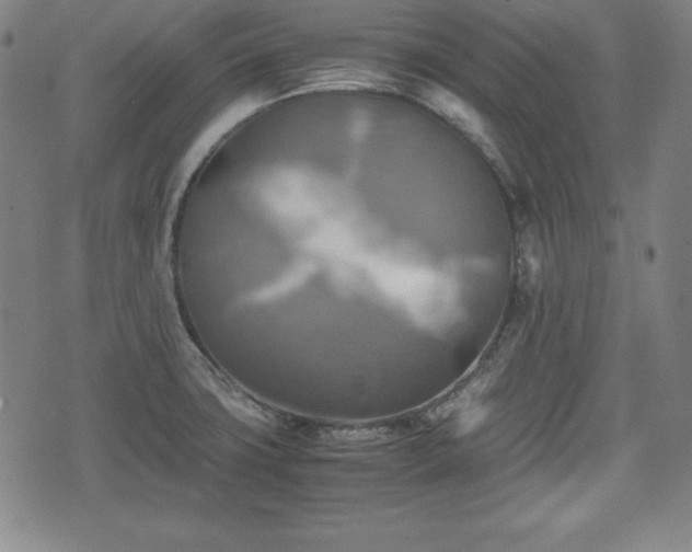 X0000075811427200609221257