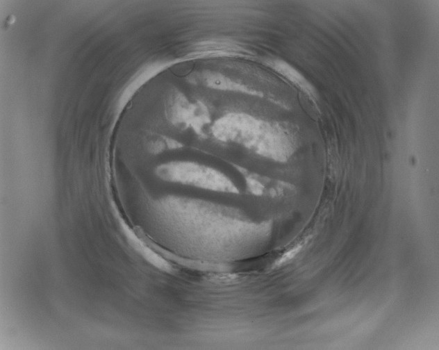 X0000075811431200609221257