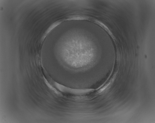X0000075811433200609221257