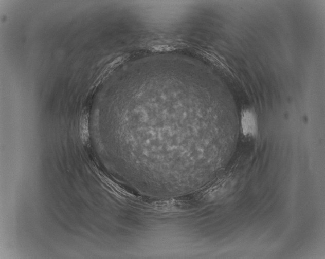 X0000075811444200609221256