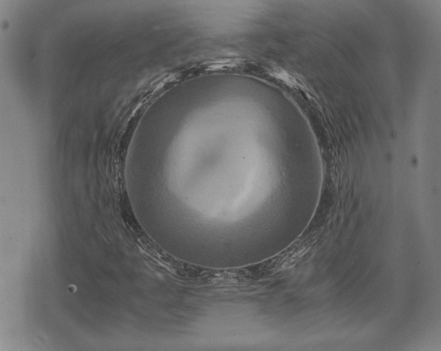 X0000075811445200609221256