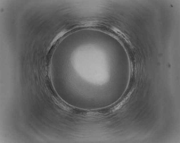 X0000075811449200609221256