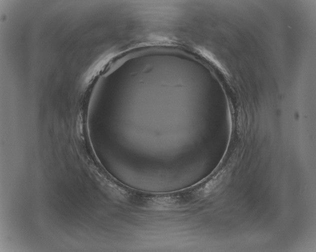 X0000075811455200609221256