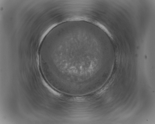 X0000075811476200609221256