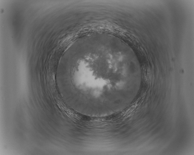 X0000075811489200609221255